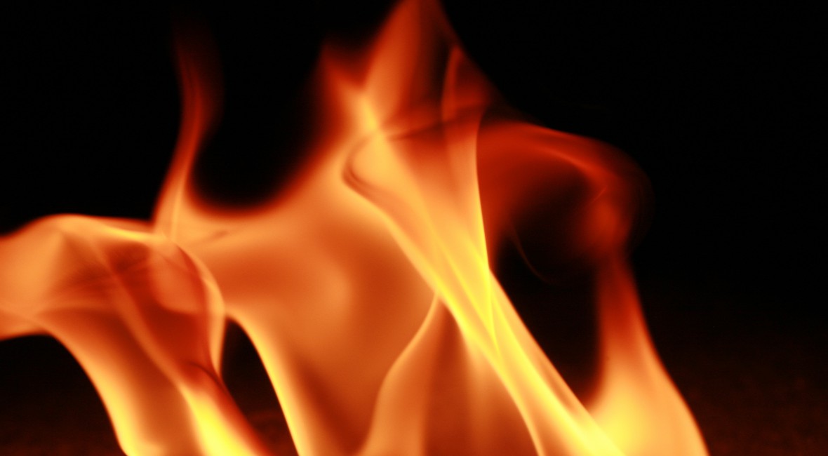 Digital Gift Cards are Hotter than Ever!